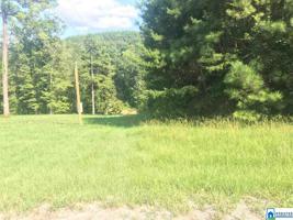 Lot 29 LONG LEAF RD