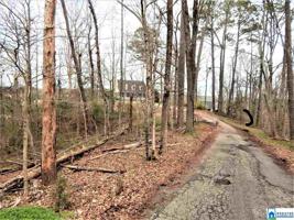 513 BLACK RIVER DRIVE
