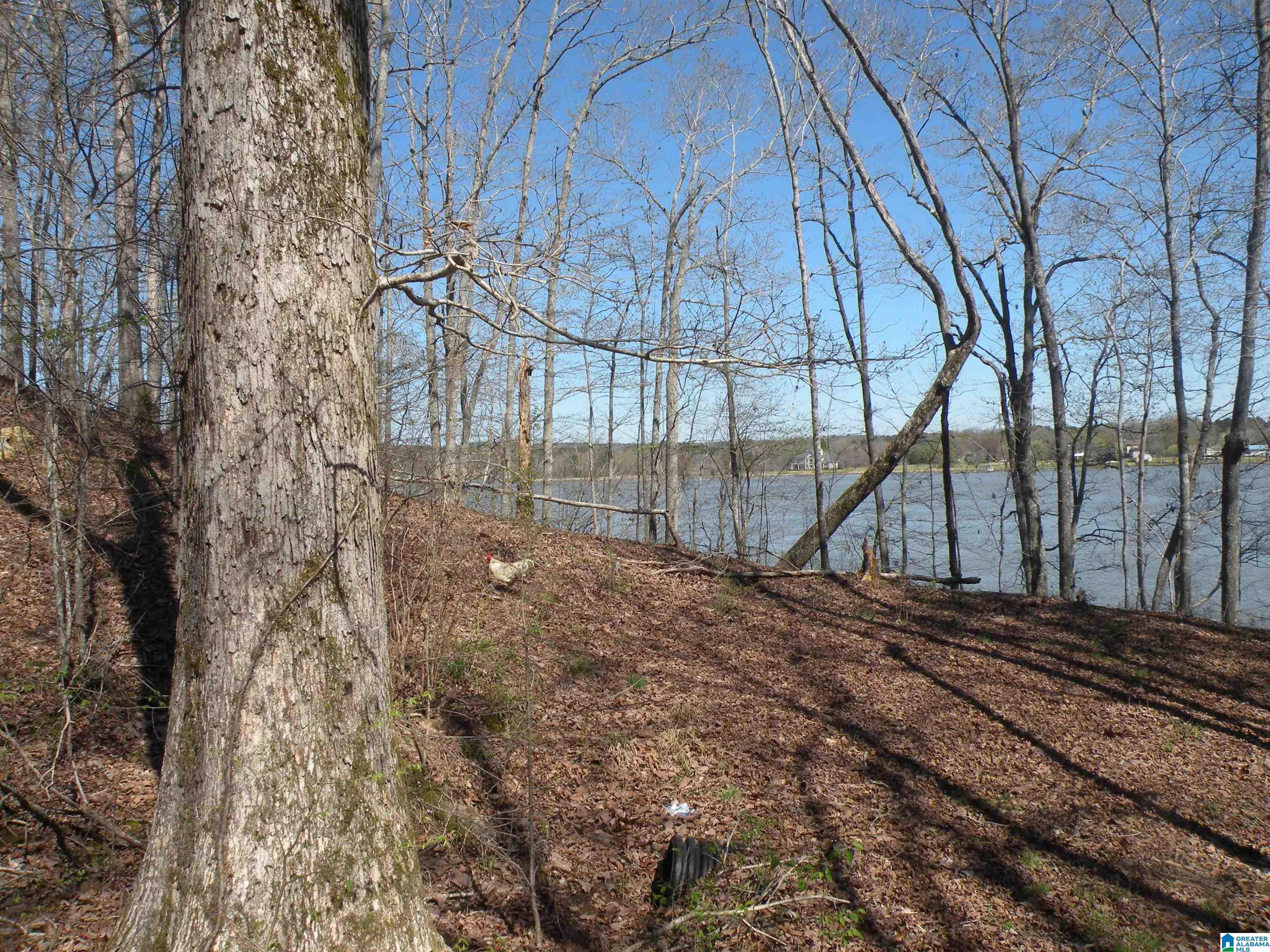 Lot 13 BILLINGSLEY DRIVE, CHILDERSBURG, AL lhrmls01789461