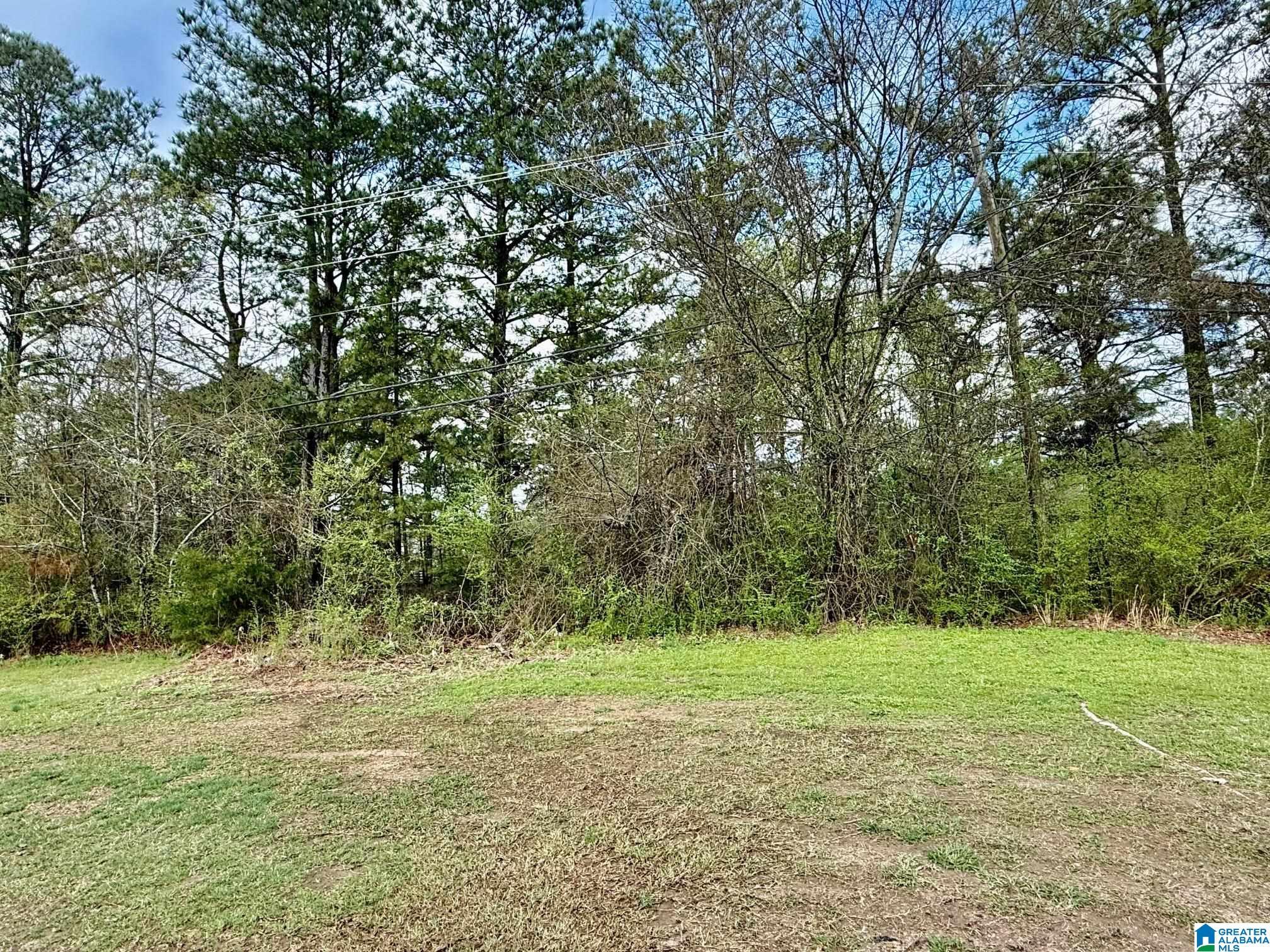 Image 2: Yard