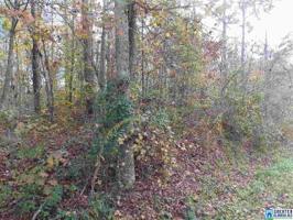 1/2 is Lot 6 and 1 Lot is entire Lot 7 LAKESHORE CIR