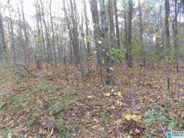 Lot 28 KENNEDY DR