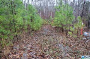 Lot 11 WINDING CREEK RD