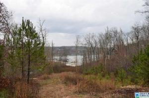 Lot 110 CO RD 890