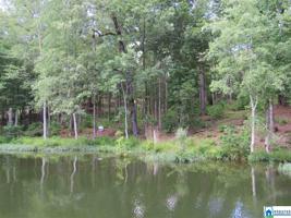 Lot 3 COVE DRIVE