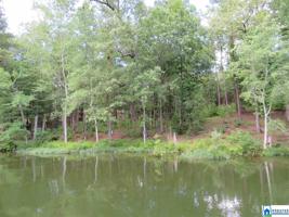 Lot 4 COVE DRIVE
