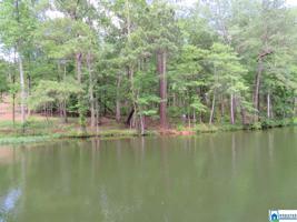 Lot 5 COVE DR