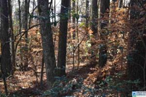 Lot 25, 26, 27, 28, BLOCK 2 CO RD 1303