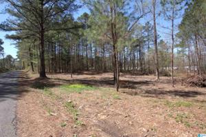 2976 COUNTY ROAD 351