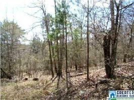 0 MOHAWK BLUFF DR Lot 2