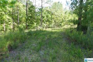 65+/- acres CO RD 121