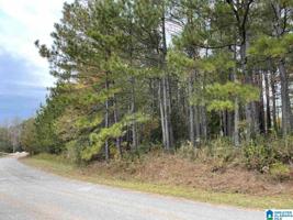 Lot 4.17 Acres WRIGHT WAY DRIVE