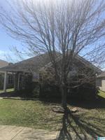 306 VILLAGE DRIVE
