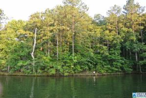 Lot 20 CO RD 897