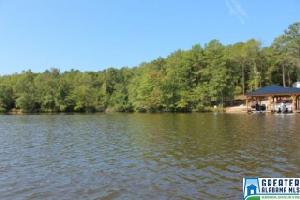 1099 PAUL BEAR BRYANT RD Lot 0