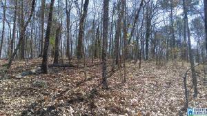 0 VALLEY VIEW CIR Lot 2