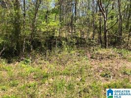 11696 CAMP OLIVER ROAD