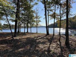 Lot 186 acres COUNTY ROAD 12