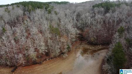 Lot 1 Acre COUNTY ROAD 499