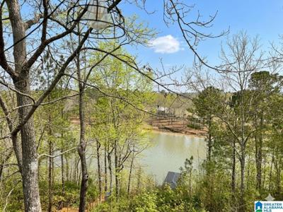 1605 BROKEN ARROW CREEK ROAD