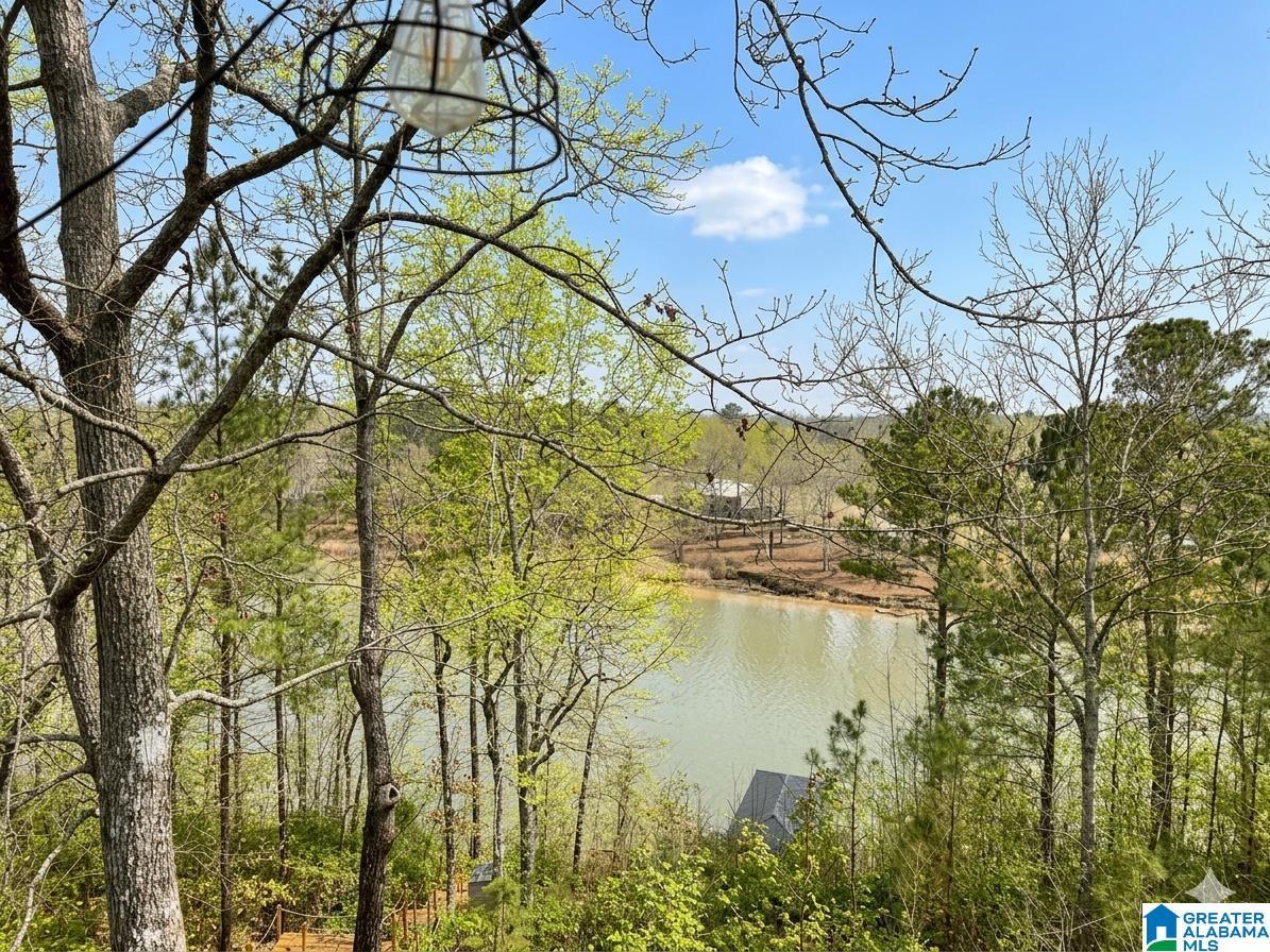Image 1: View