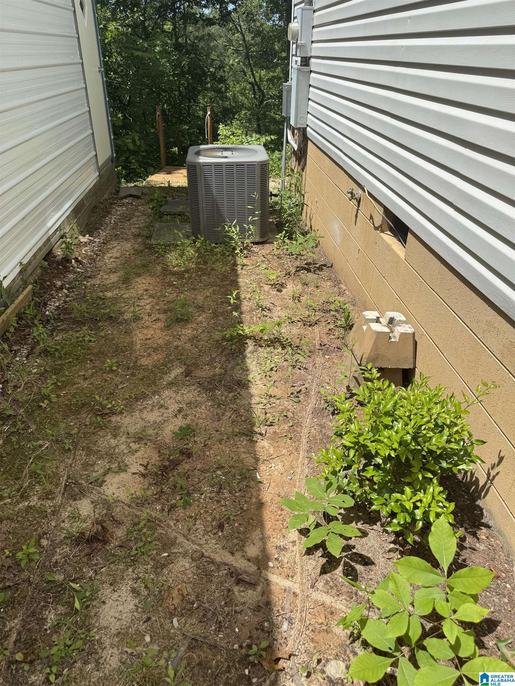 Image 3: Yard