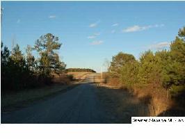 CO RD 66 Lot 50
