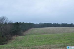 00 CO RD 35 Lot 11.3