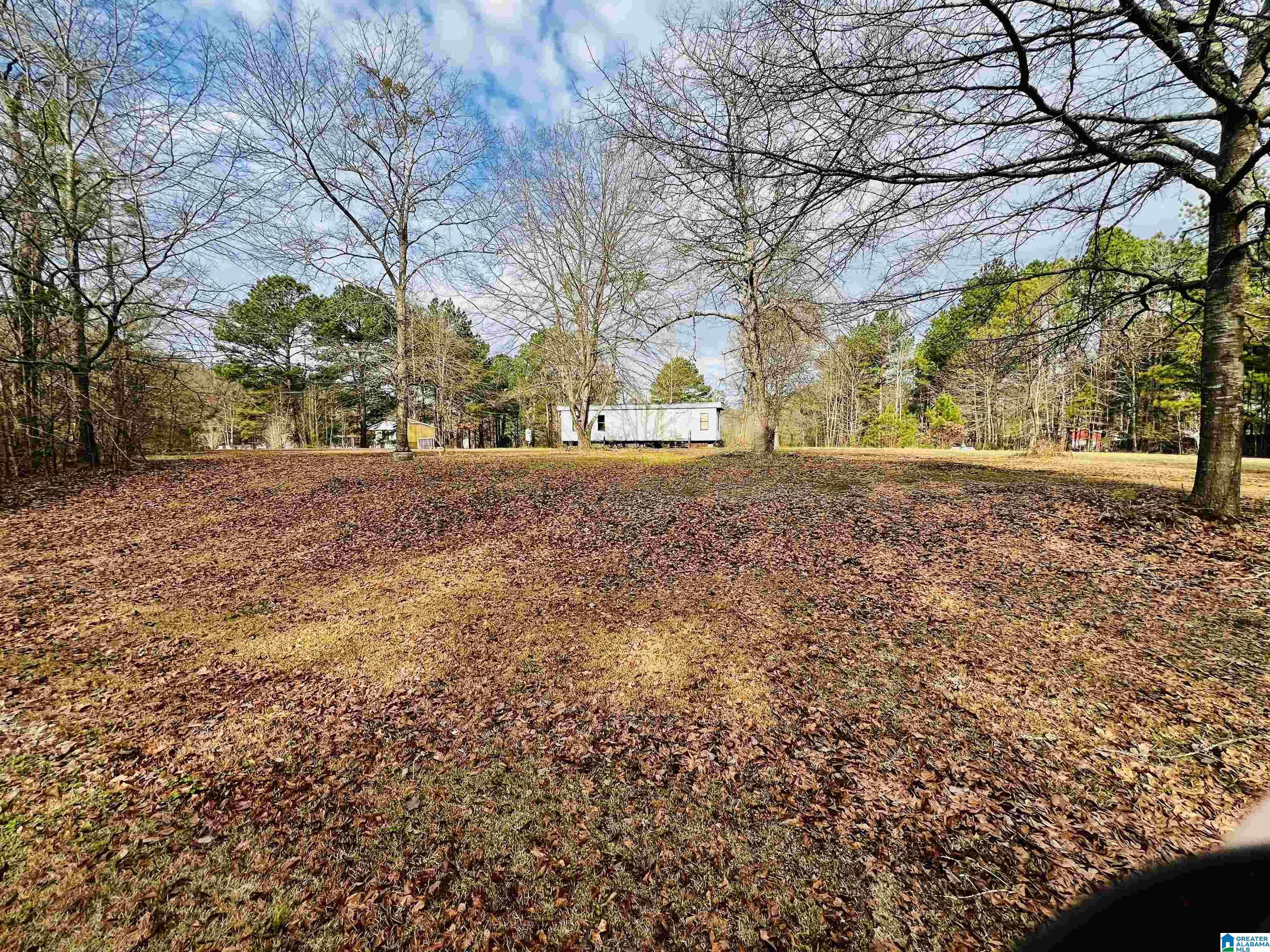 Image 2: Yard