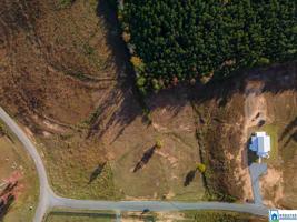 Lot 53 SIPSEY SHORES