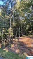 Lot 31 BLUE CREEK CIRCLE
