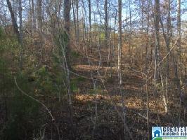 0 CO RD 551