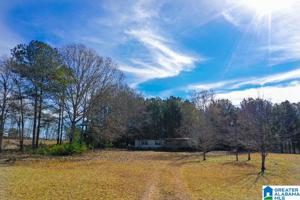1019 CO RD 284