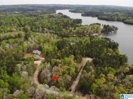 Lot 36 COUNTY ROAD 99