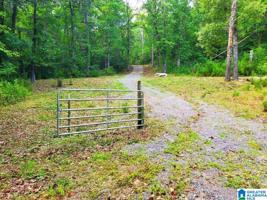 405 STEWART HOLLOW ROAD