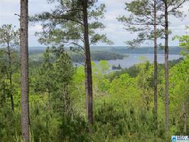 275 EAGLE MOUNTAIN DR Lot 1