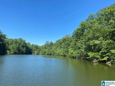 Lot 102 Acres COUNTY ROAD 99