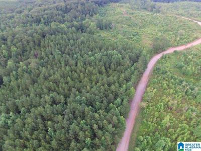 Lot 63 Acres COUNTY ROAD 99
