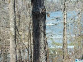 12 CO RD 3930 Lot 12