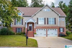 224 PINEY WOODS LANE