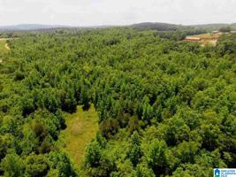 Lot 18 acres COUNTY ROAD 263
