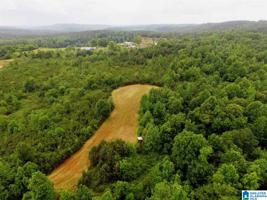 Lot 32 acres COUNTY ROAD 261