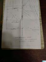 Lot 195 HIGHWAY 431