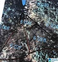 Lot 53 CERULEAN DRIVE