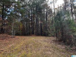 112 DEER TRACE