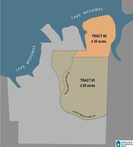 Lot 1&2 HIGHWAY 431