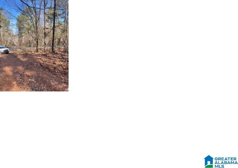 Image 1: Image 1