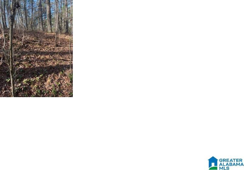 Image 2: Image 2