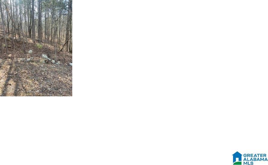 Image 3: Image 3
