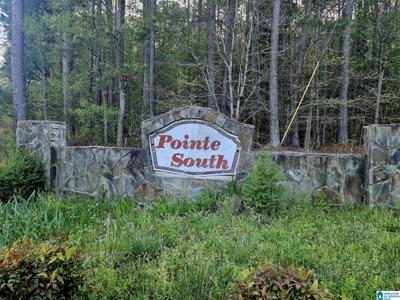 Lot 69,70,71,72,73 POINTE SOUTH DRIVE